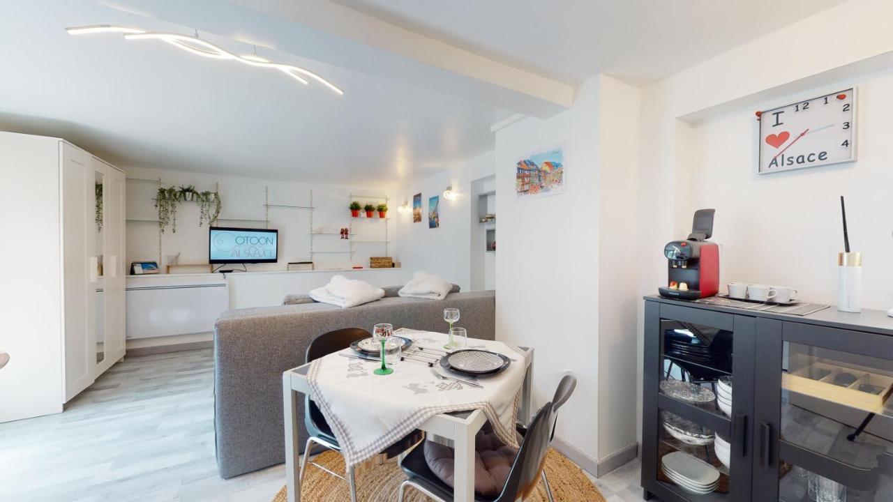 Studio Avec Parking Rue De La Semm Colmar Extérieur photo